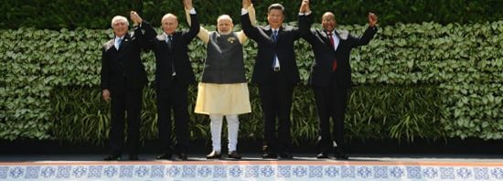 brics-goa-group2
